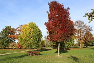 Baumpark