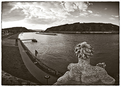 Blick auf der Rhein.  Andernach 2015