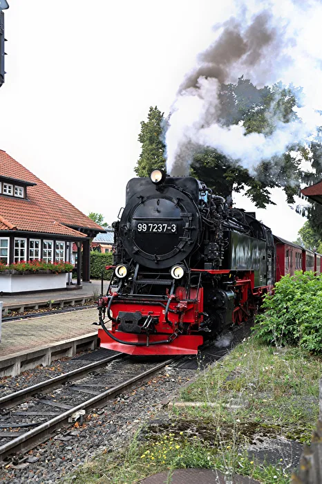 Mit Dampf und Pfiff