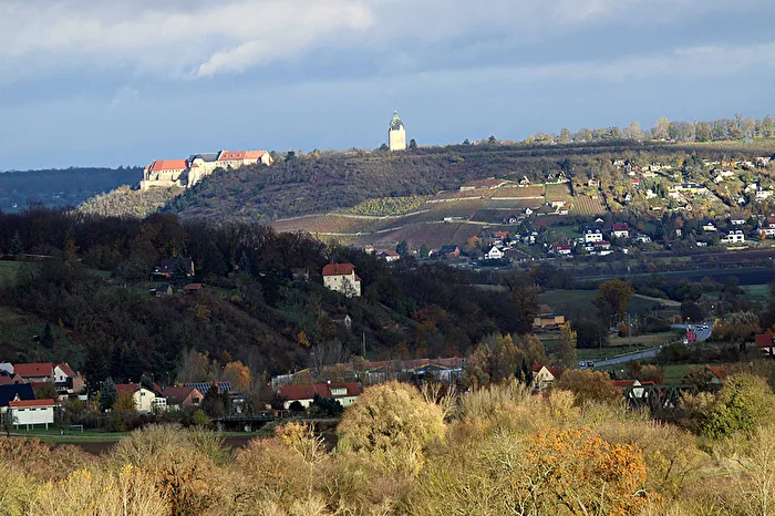 Ein schöner Tag im November