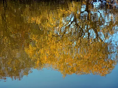 ohne Titel