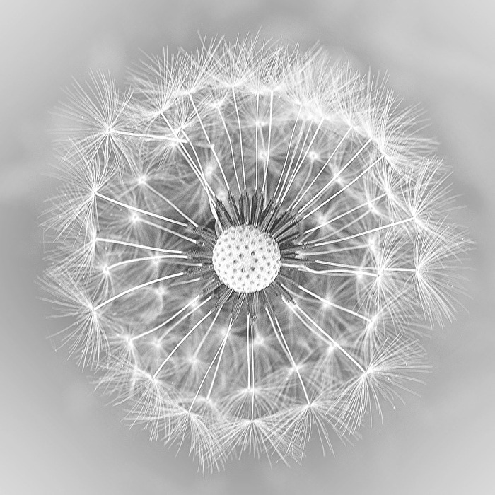 nur ein Hauch von...