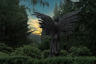 Engel der Nacht