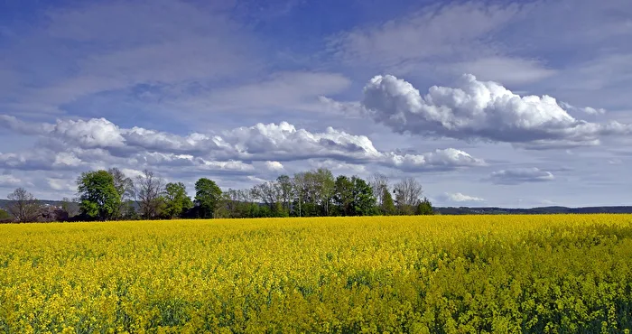 Vogtlandwetter