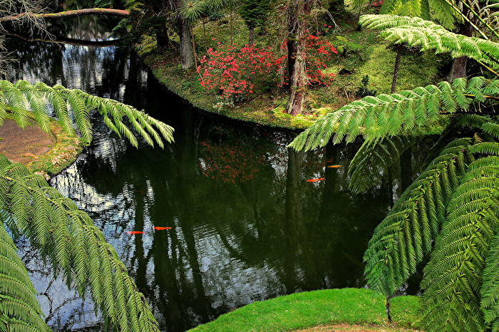 Park - Auf den Azoren