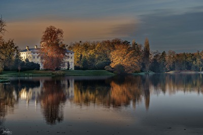 Herbst im Wörlitzer Park
