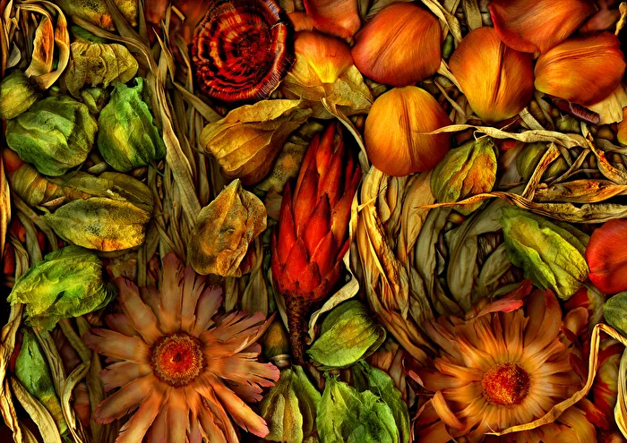 ..the magic garden