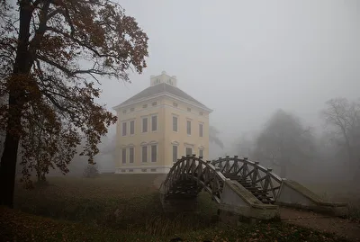 Schloß Luisium im Nebel
