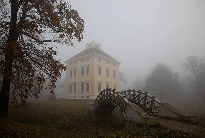 Schloß Luisium im Nebel