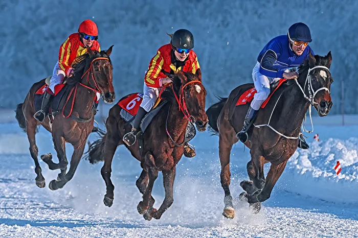Winter - Galopp