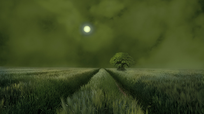 Grüne Stille