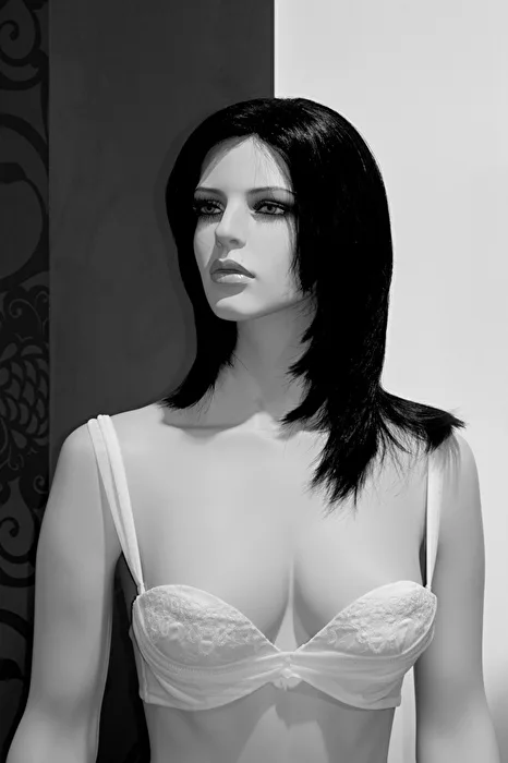 Sylvia