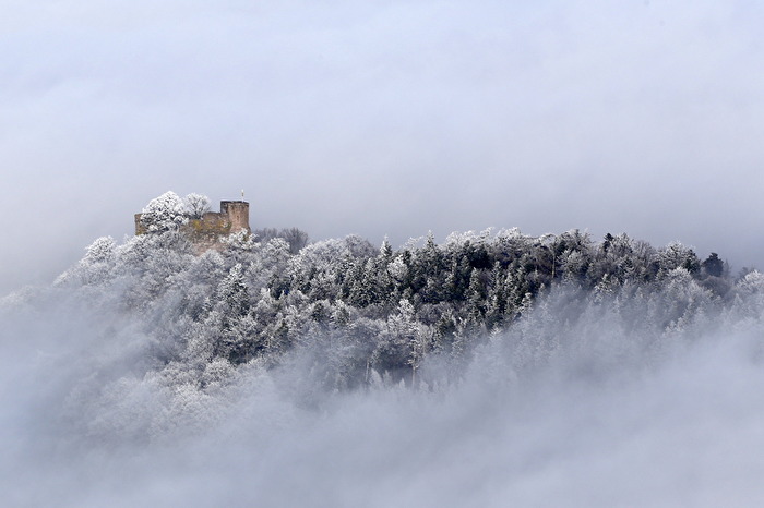 Nebel Burg