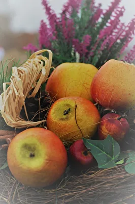 Herbstobst