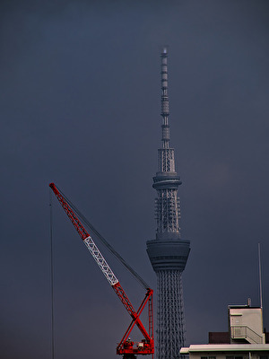 Skytree