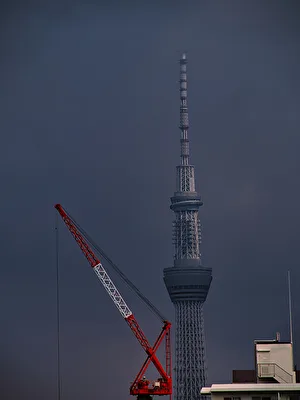 Skytree