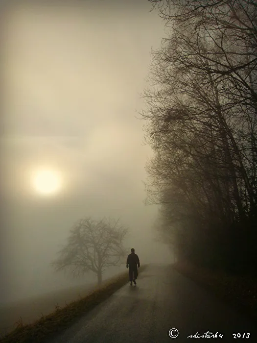 Dem Licht entgegen