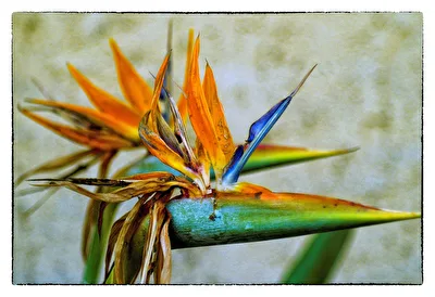 ohne Titel
