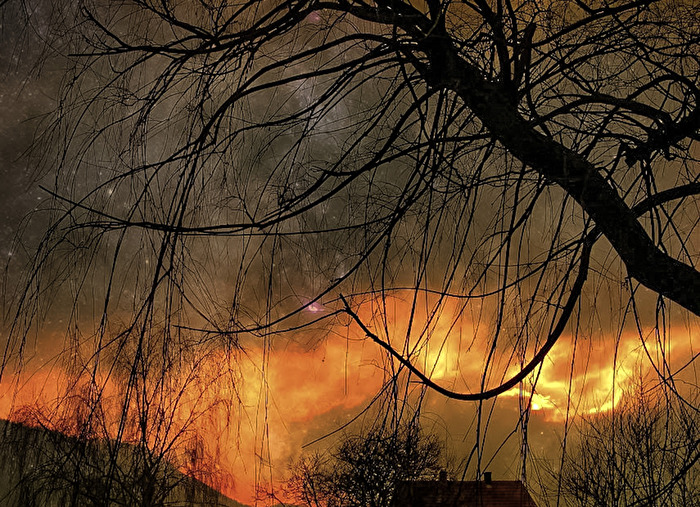 In der Abendsonne 1