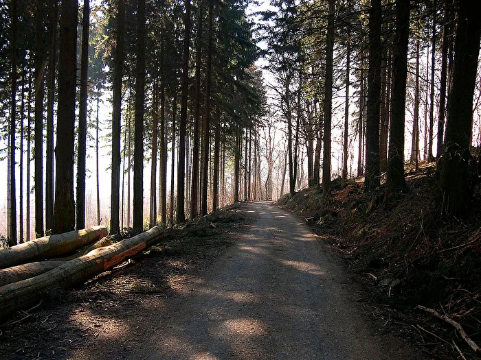 Heimat