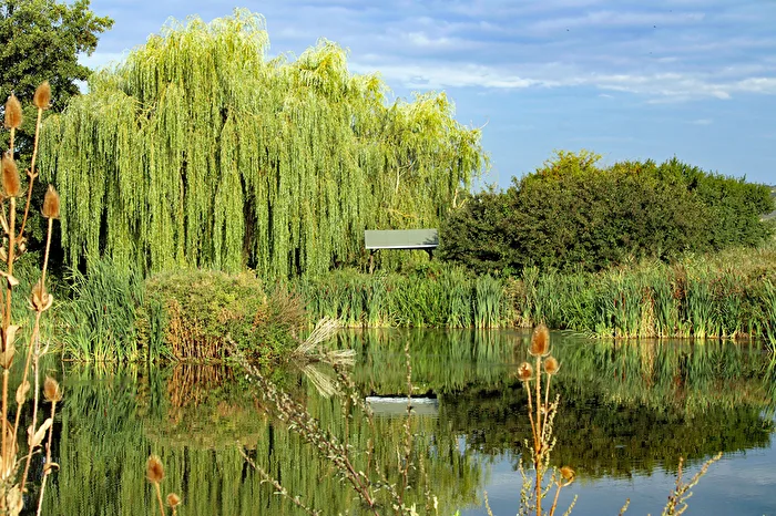 Der Emsenteich in Bad Sulza, hinterer Teil