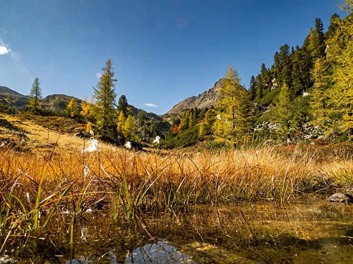 In the Gastein Valley