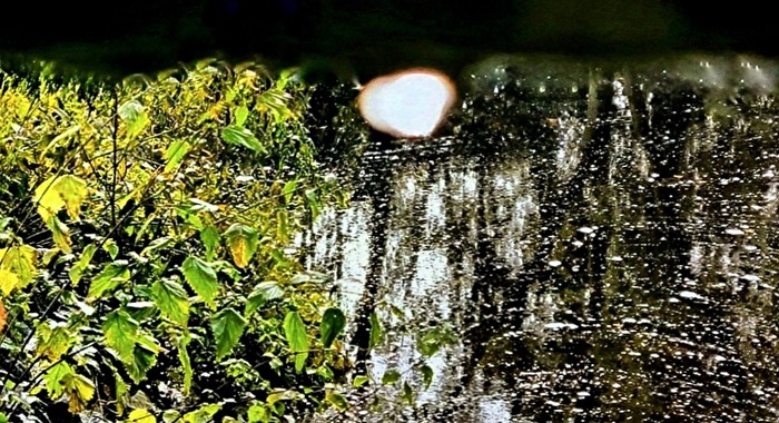 Rainy day in the park