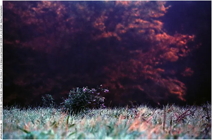 Dawn