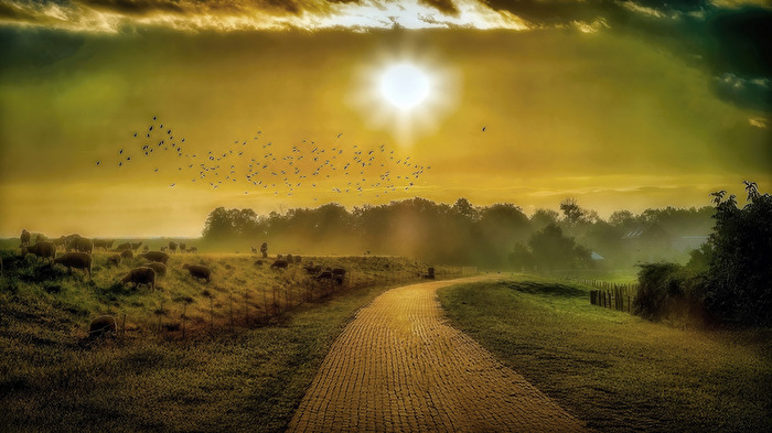 Morgens am Deich II