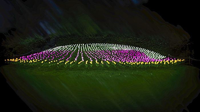 Wiesenleuchten,nicht bayrisch.