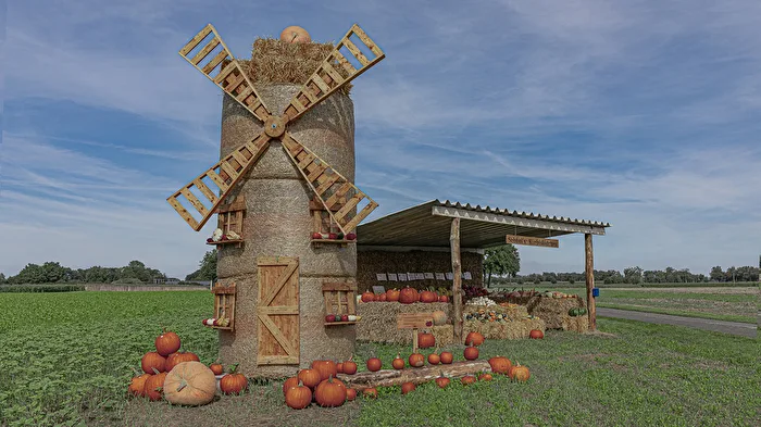 The pumpkin harvest has begun...