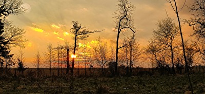 Am Ende des Tages