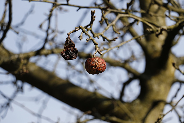 Not Yet, Mr. Newton...