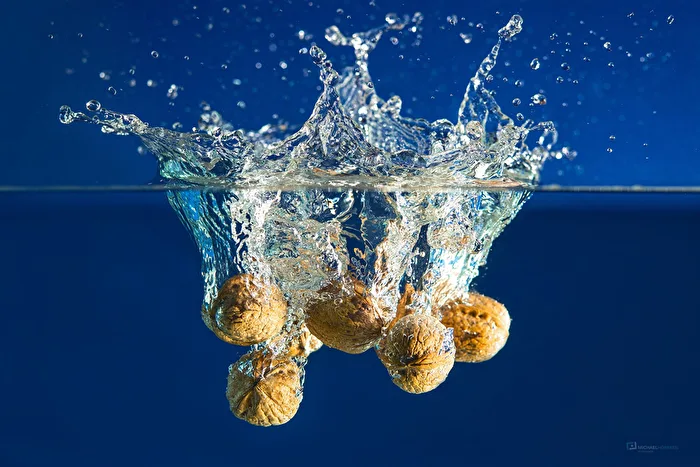 walnut-splash