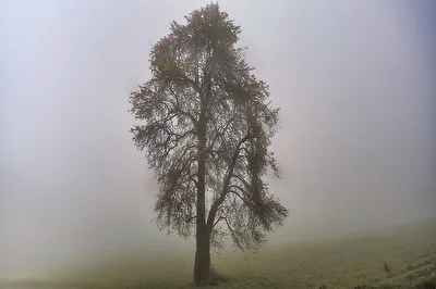 ohne Titel