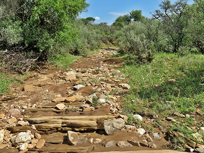 Ein Rivier