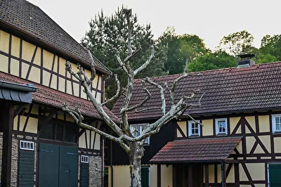 Dreiseitenhof