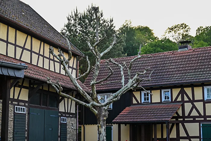 Dreiseitenhof