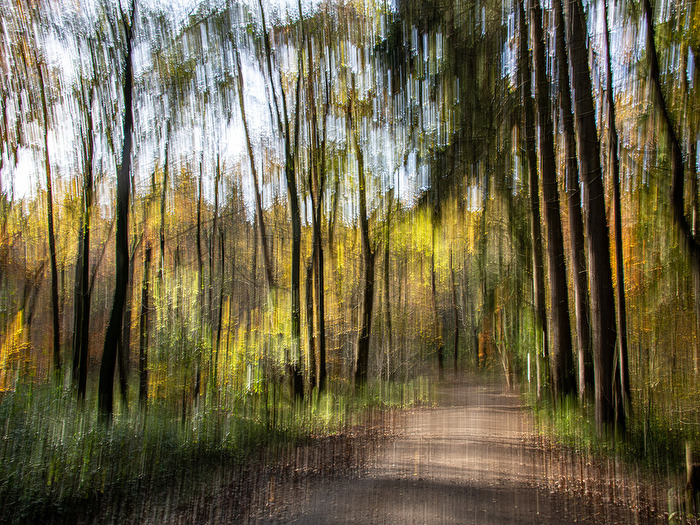 Spaziergang