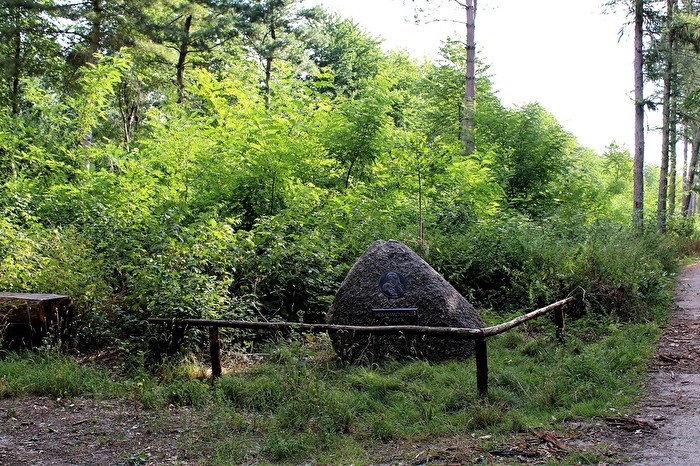 Der Hebammenwald