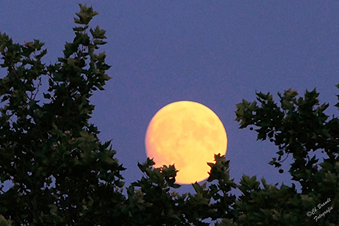 Vollmond vom 24.07.21