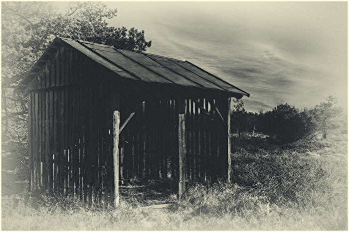 Hütte im Moor