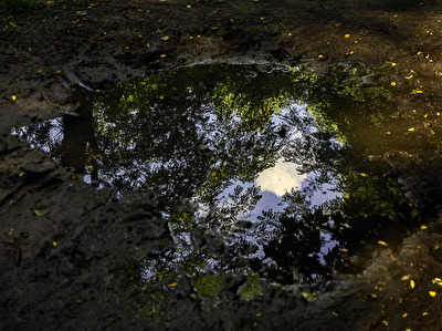 A other world
