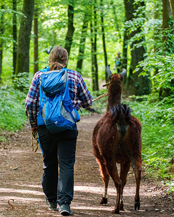 Lama Wanderung