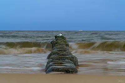 ohne Titel
