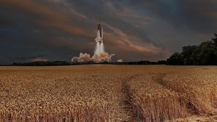 Countdown over golden stalks