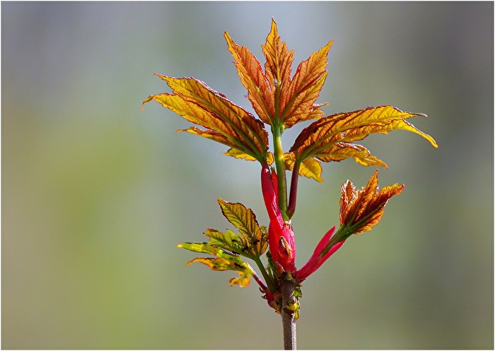 Farben des Frühlings