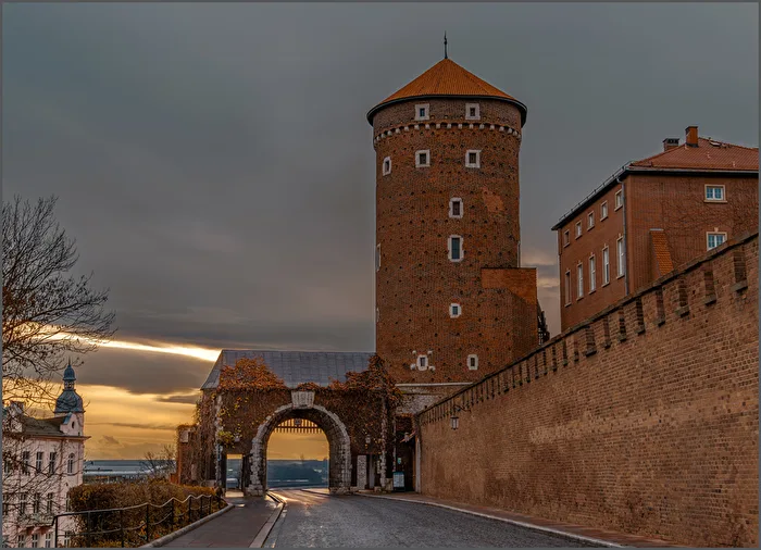Burg Wawel - Krakau