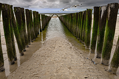 Weg in Meer (Domburg)