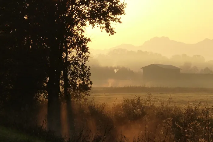 Morgenstund´